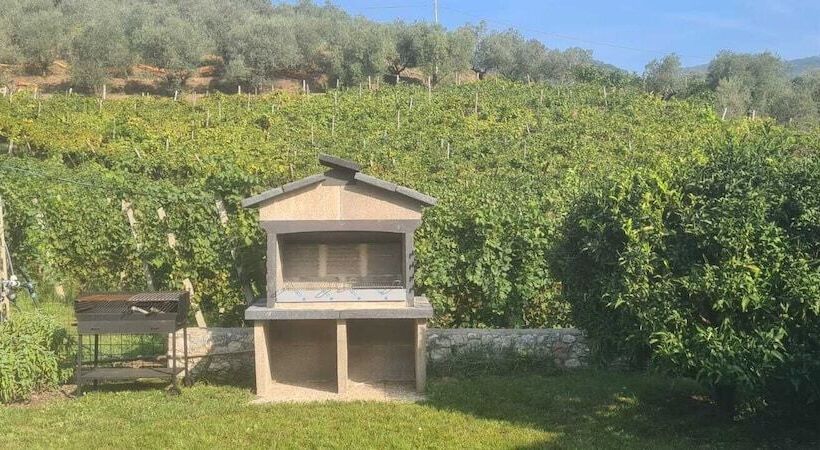 Agriturismo La Collina Verde