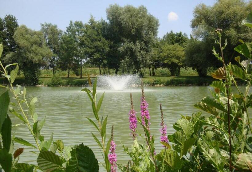 Apparthotel Minerva Diana Octavia