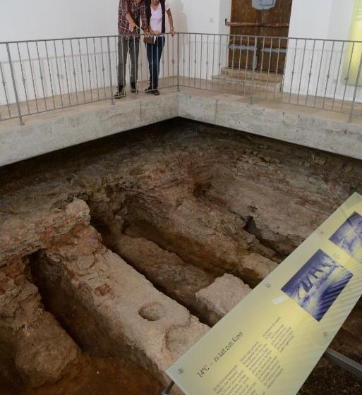 Apparthotel Minerva Diana Octavia