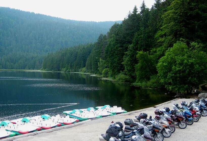 Bed and Breakfast Pension Elan