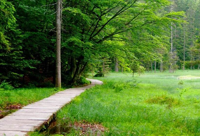 Bed and Breakfast Pension Elan