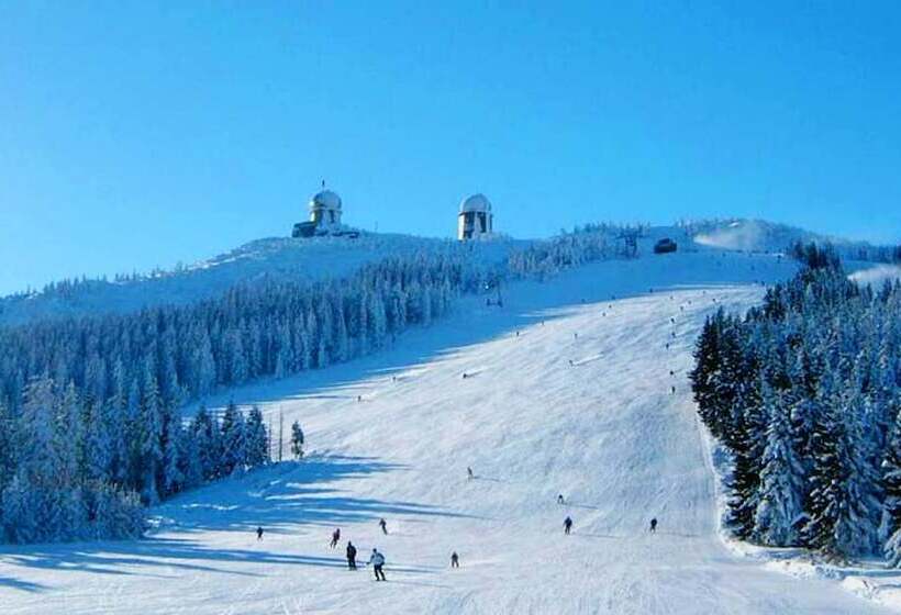 Bed and Breakfast Pension Elan