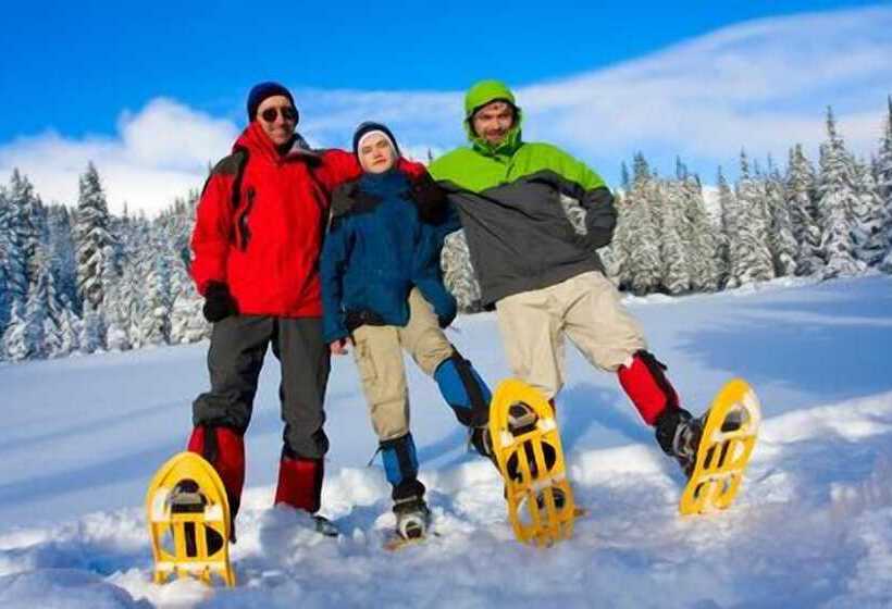 Bed and Breakfast Pension Elan