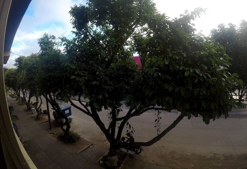 Hostal La Casa Del Kurupira