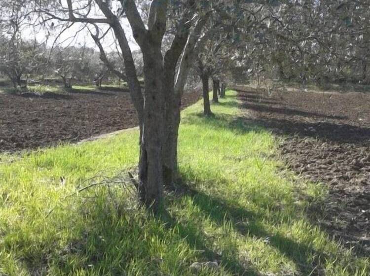 ホテル Agriturismo Barbi