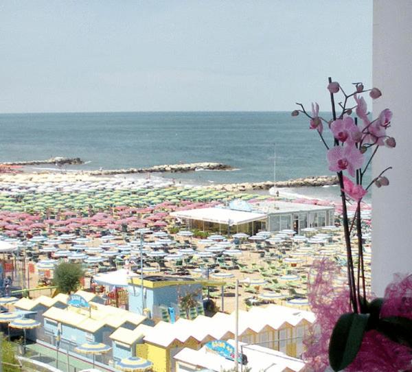 בית מלון כפרי Alba