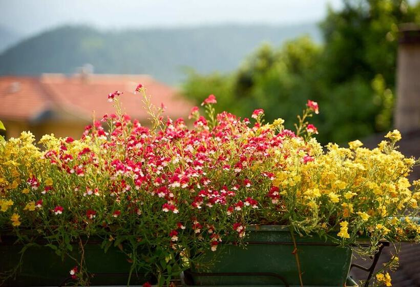 בית מלון כפרי Albergo Al Salus