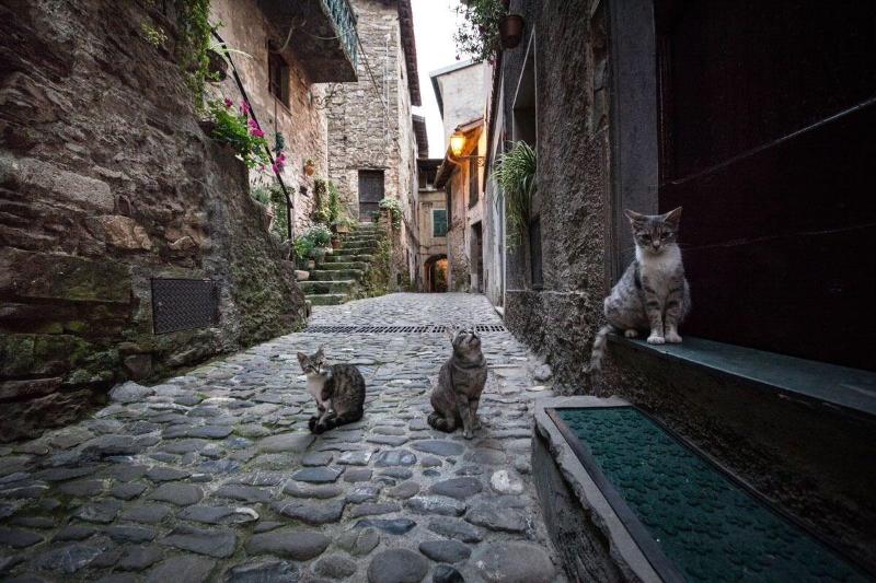 Szálloda Munta E Cara Albergo Diffuso