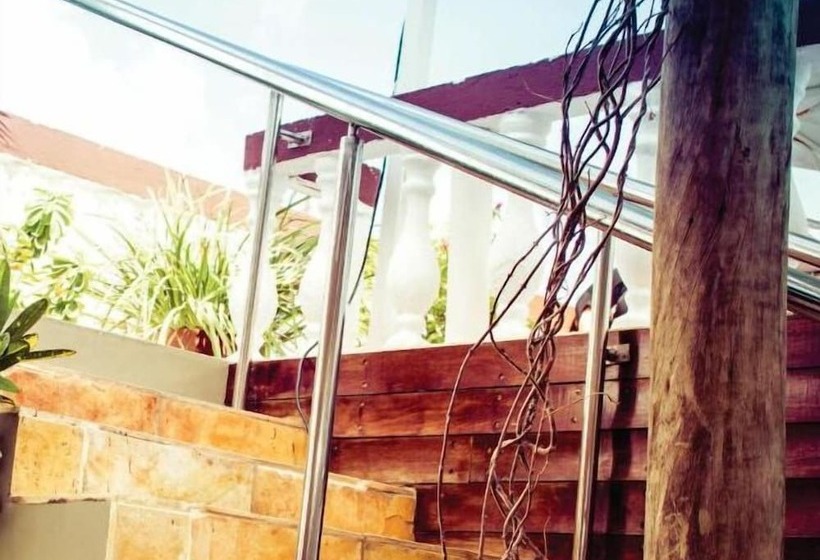 فندق Algarve Praia