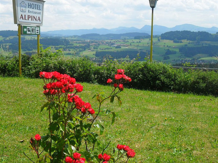 בית מלון כפרי Alpina