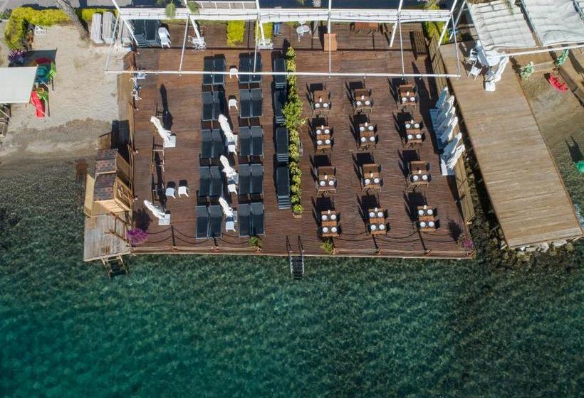 酒店 Alya Turkbuku Beach