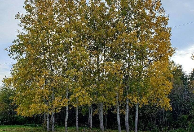 酒店 Antigonish Evergreen Inn