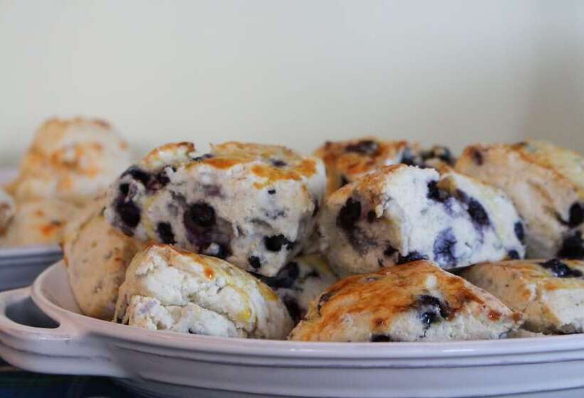 酒店 Antigonish Evergreen Inn