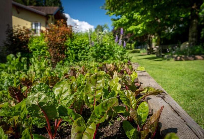 בית מלון כפרי Bella Di Bosco