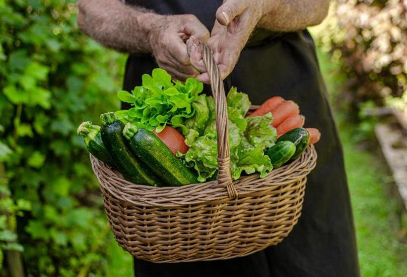 בית מלון כפרי Bella Di Bosco