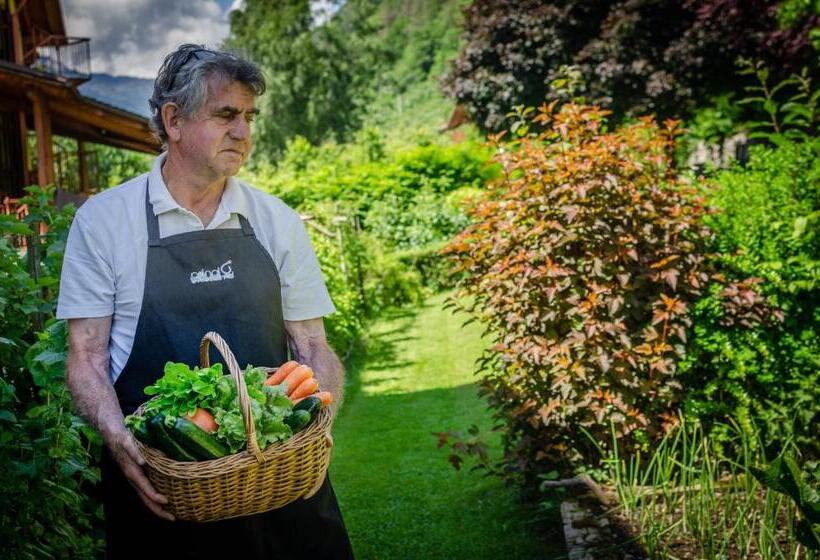 בית מלון כפרי Bella Di Bosco