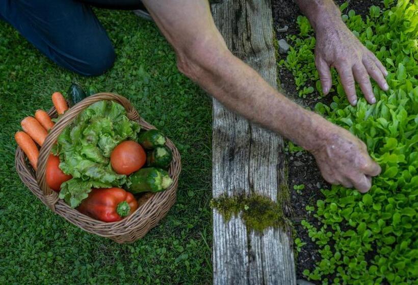 בית מלון כפרי Bella Di Bosco