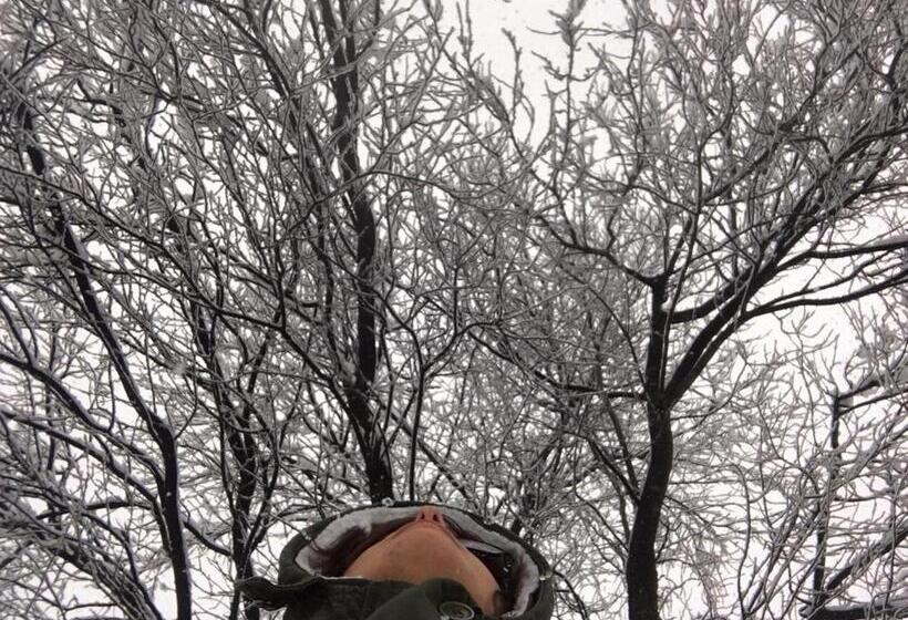 בית מלון כפרי Bella Di Bosco