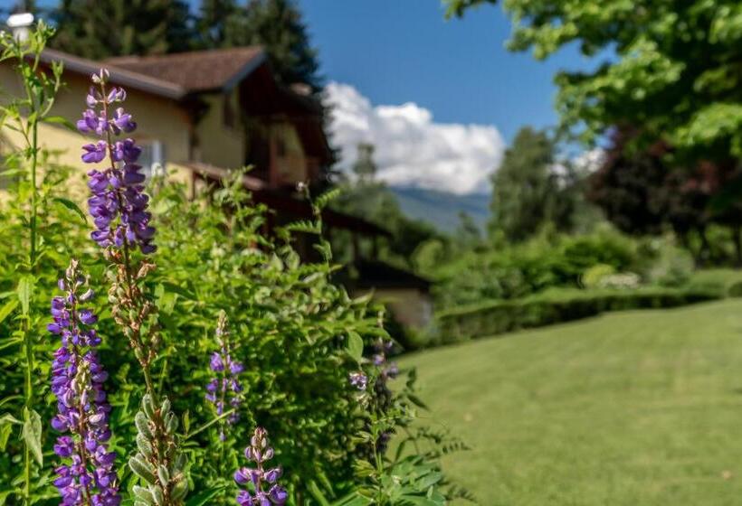 בית מלון כפרי Bella Di Bosco