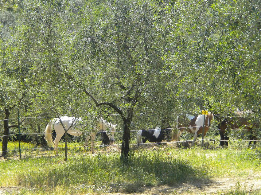 ホテル Bello Stare Charming Retreats