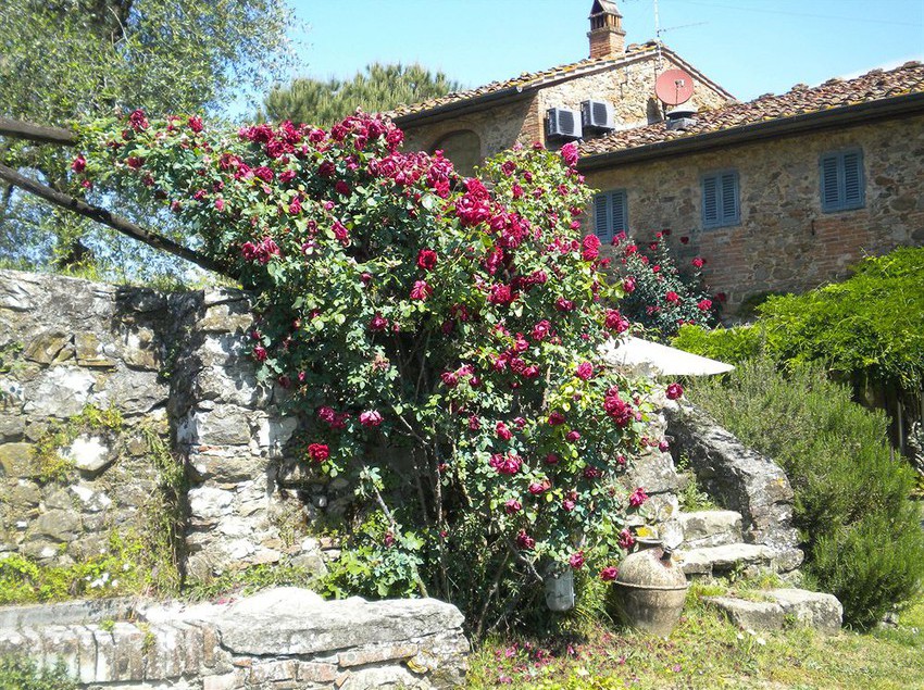 ホテル Bello Stare Charming Retreats