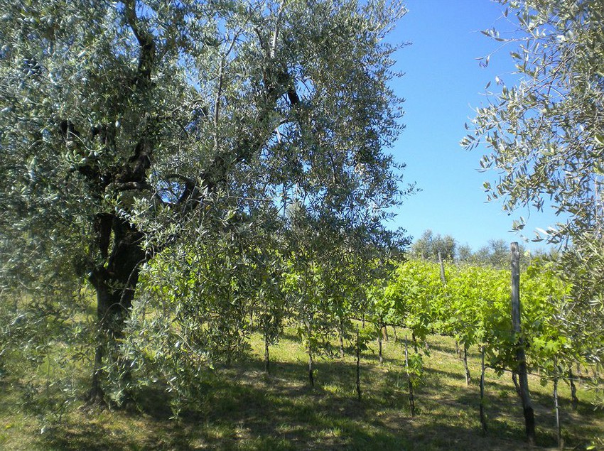 ホテル Bello Stare Charming Retreats