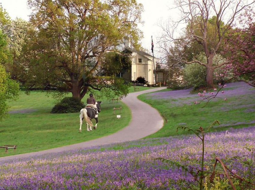 Hotel Brantridge Park