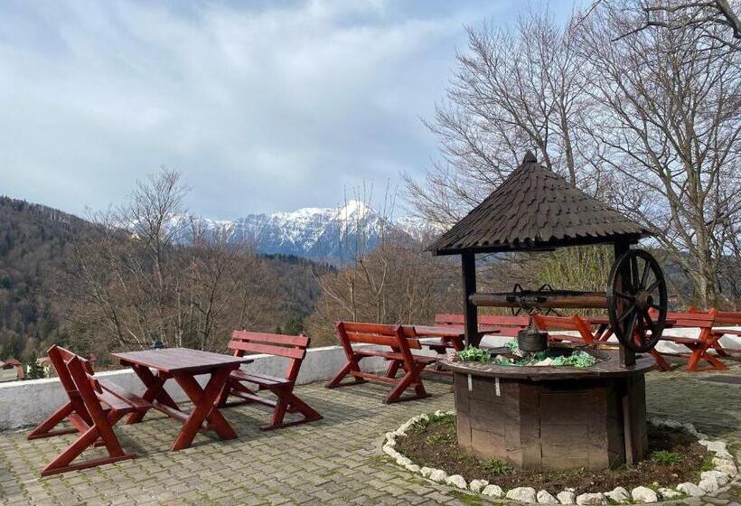 בית מלון כפרי Cabana Trei Brazi