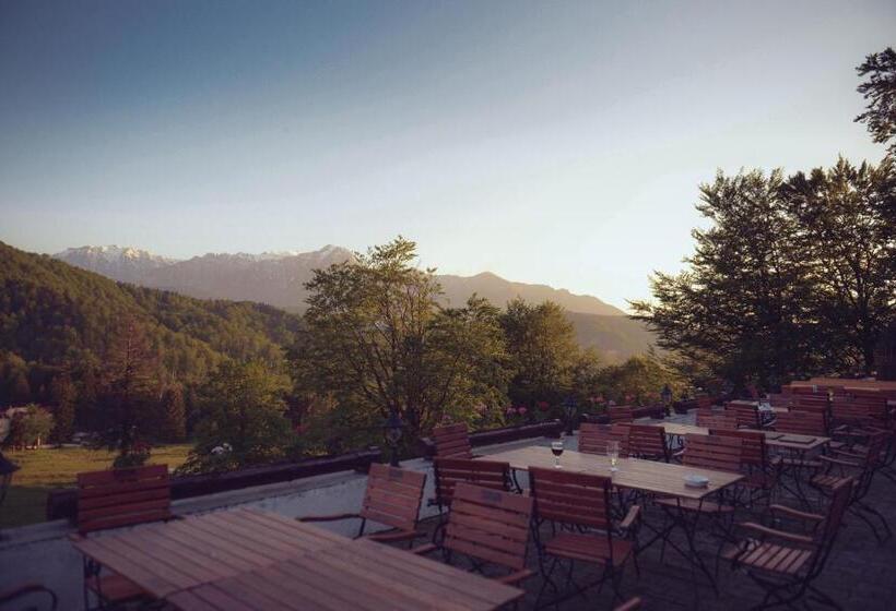 בית מלון כפרי Cabana Trei Brazi