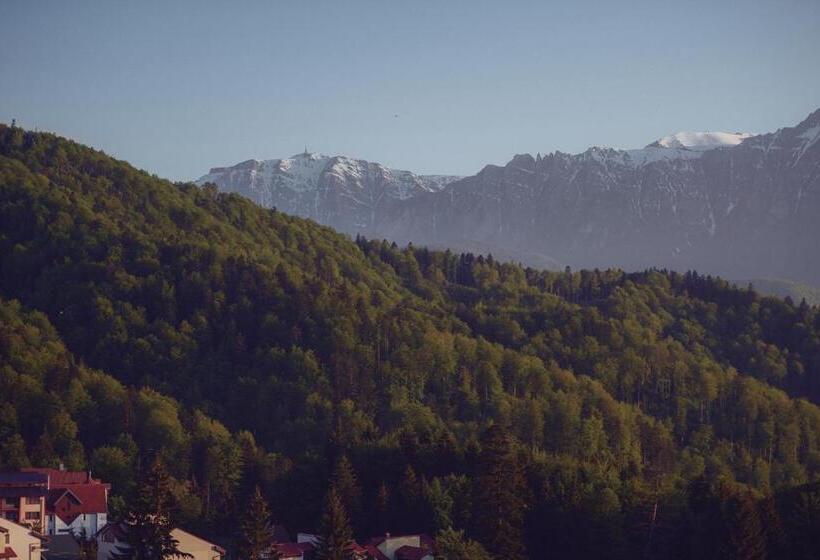 בית מלון כפרי Cabana Trei Brazi