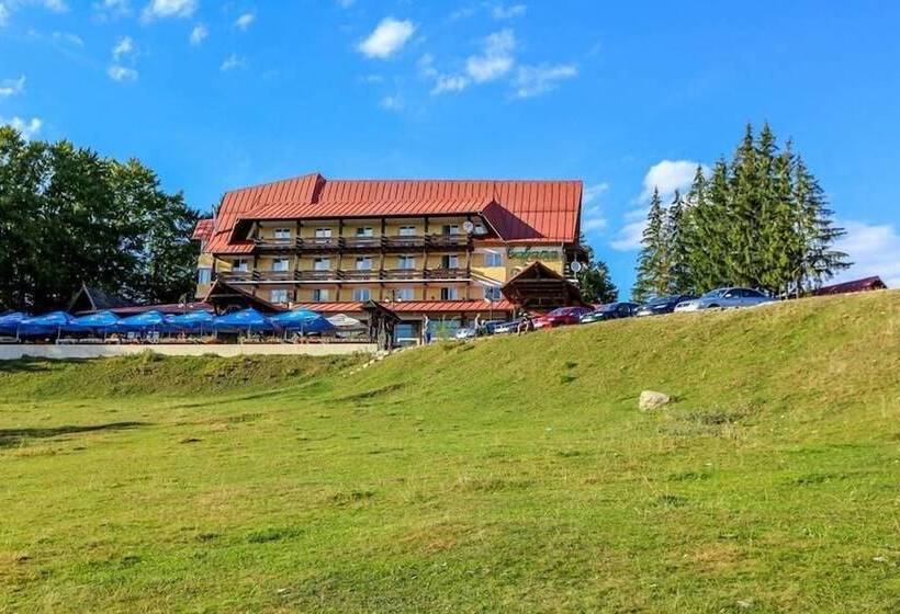 בית מלון כפרי Cabana Trei Brazi