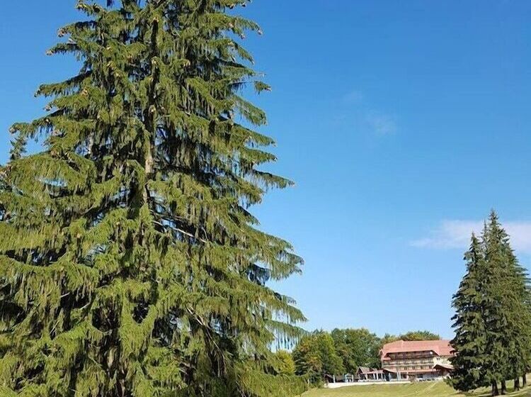 בית מלון כפרי Cabana Trei Brazi