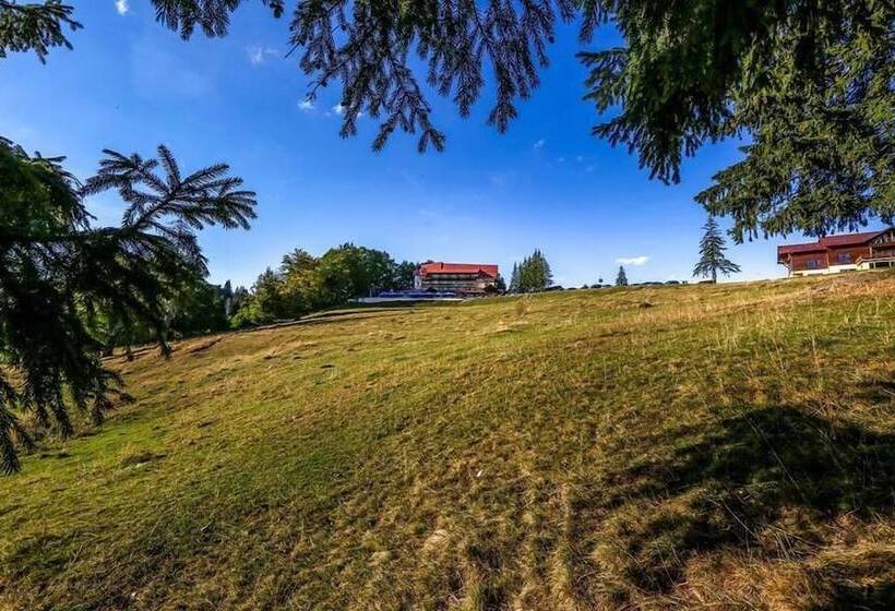 בית מלון כפרי Cabana Trei Brazi