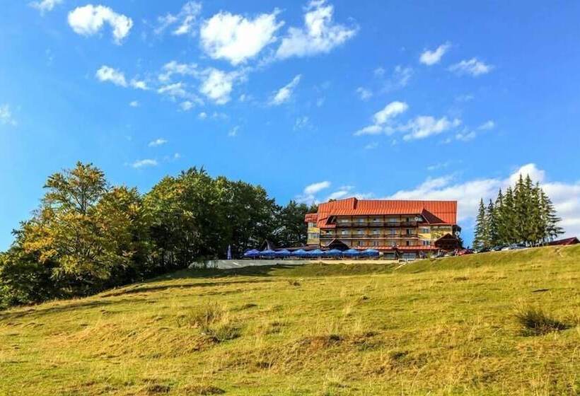 בית מלון כפרי Cabana Trei Brazi