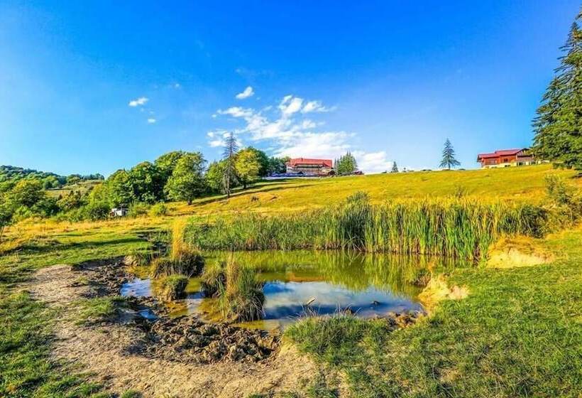 בית מלון כפרי Cabana Trei Brazi