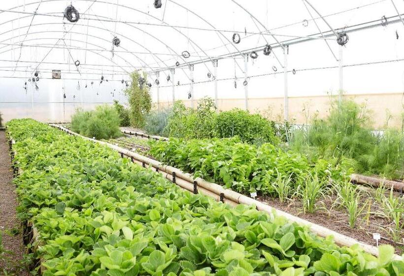 هتل Delaire Graff Lodges And Spa