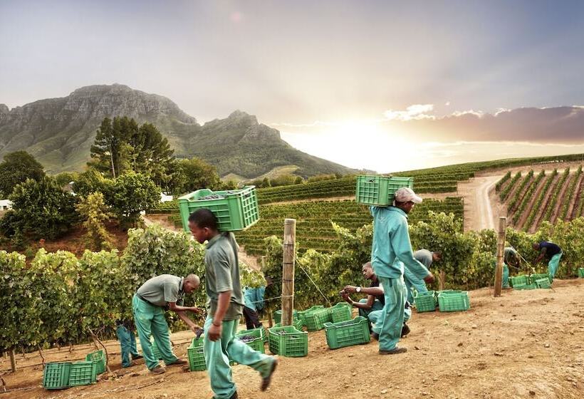 هتل Delaire Graff Lodges And Spa