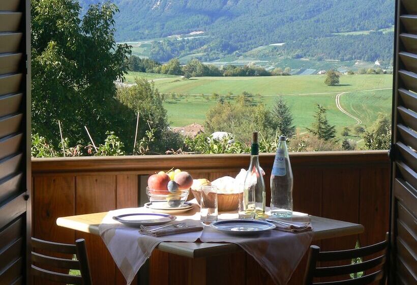 בית מלון כפרי & Appartamenti Al Larice