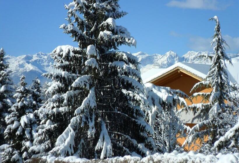 בית מלון כפרי & Appartamenti Al Larice