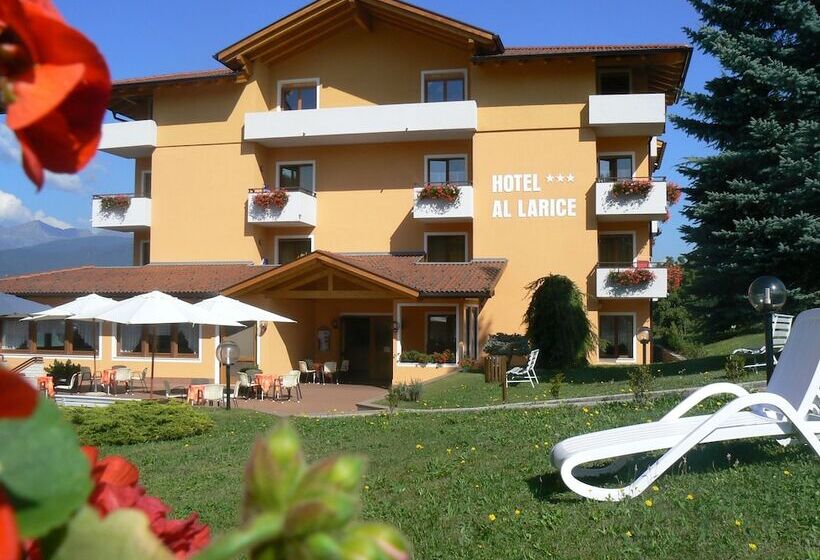 בית מלון כפרי & Appartamenti Al Larice