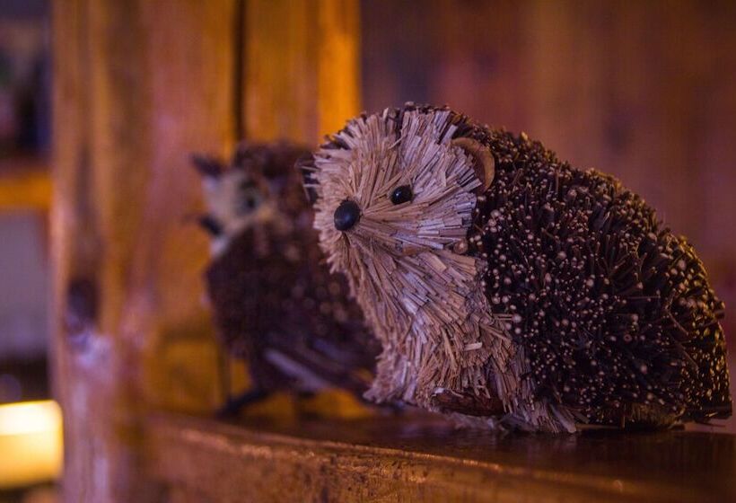 בית מלון כפרי Ellex Eco