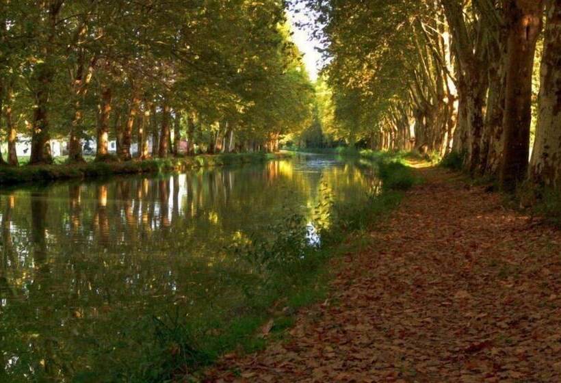 酒店 Hôtel Du Patriarche