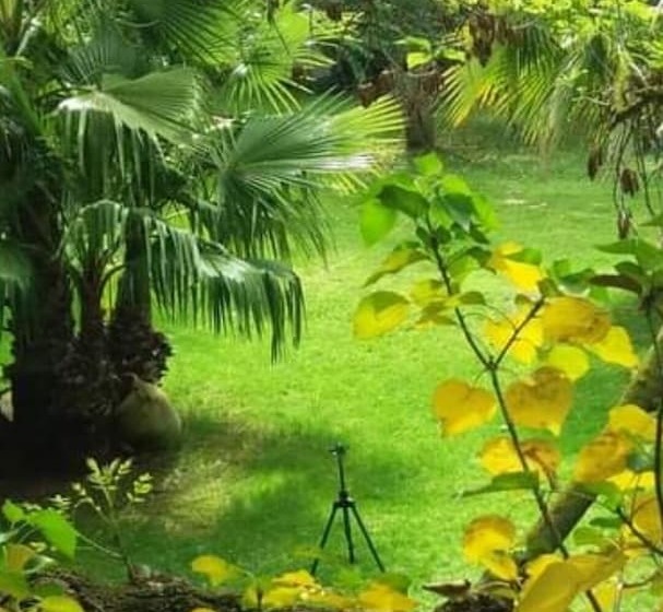 酒店 Hôtel Du Patriarche