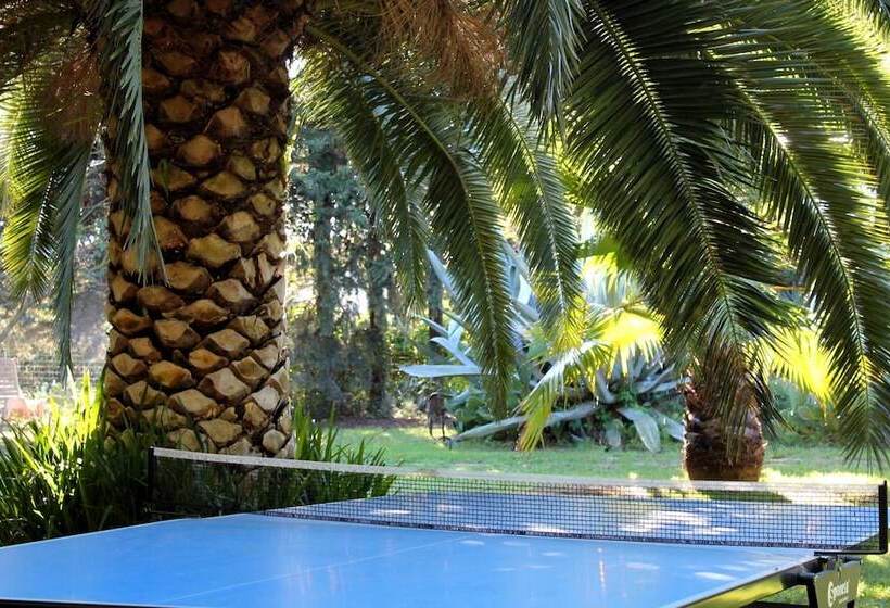 酒店 Hôtel Du Patriarche