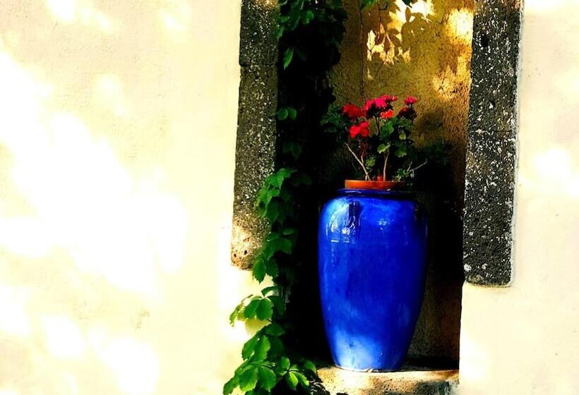 酒店 Hôtel Du Patriarche