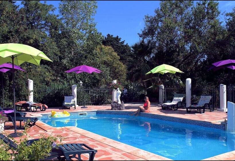 هتل Hôtel Du Patriarche