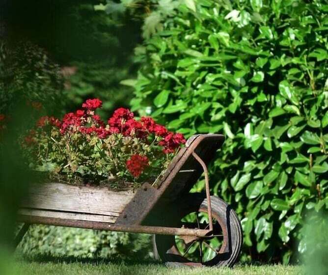 ホテル Hôtel Restaurant Au Lion D Or