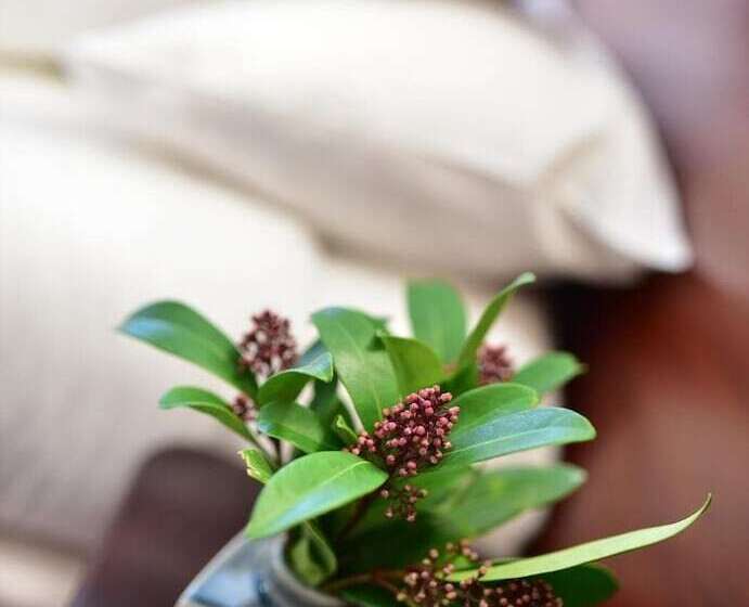 ホテル Hôtel Restaurant Au Lion D Or