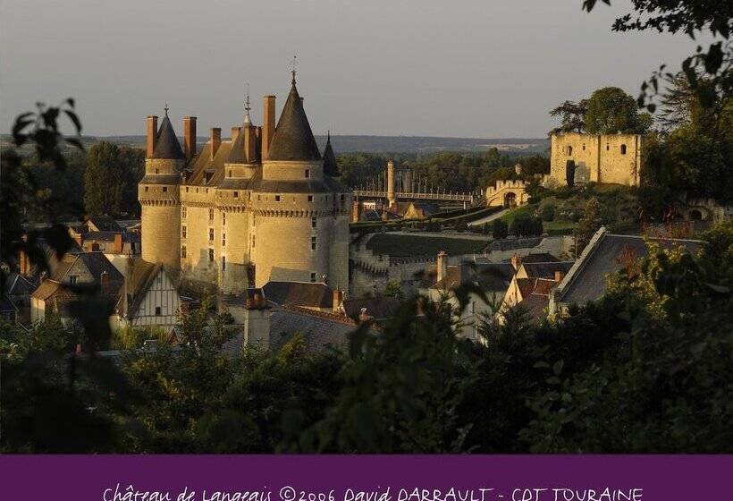 호텔 Hôtel Restaurant Chambre Insolite Spa   Le Xii De Luynes