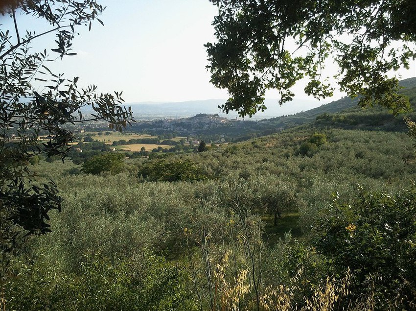 Отель La Barberie